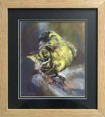 SOLD Siskin