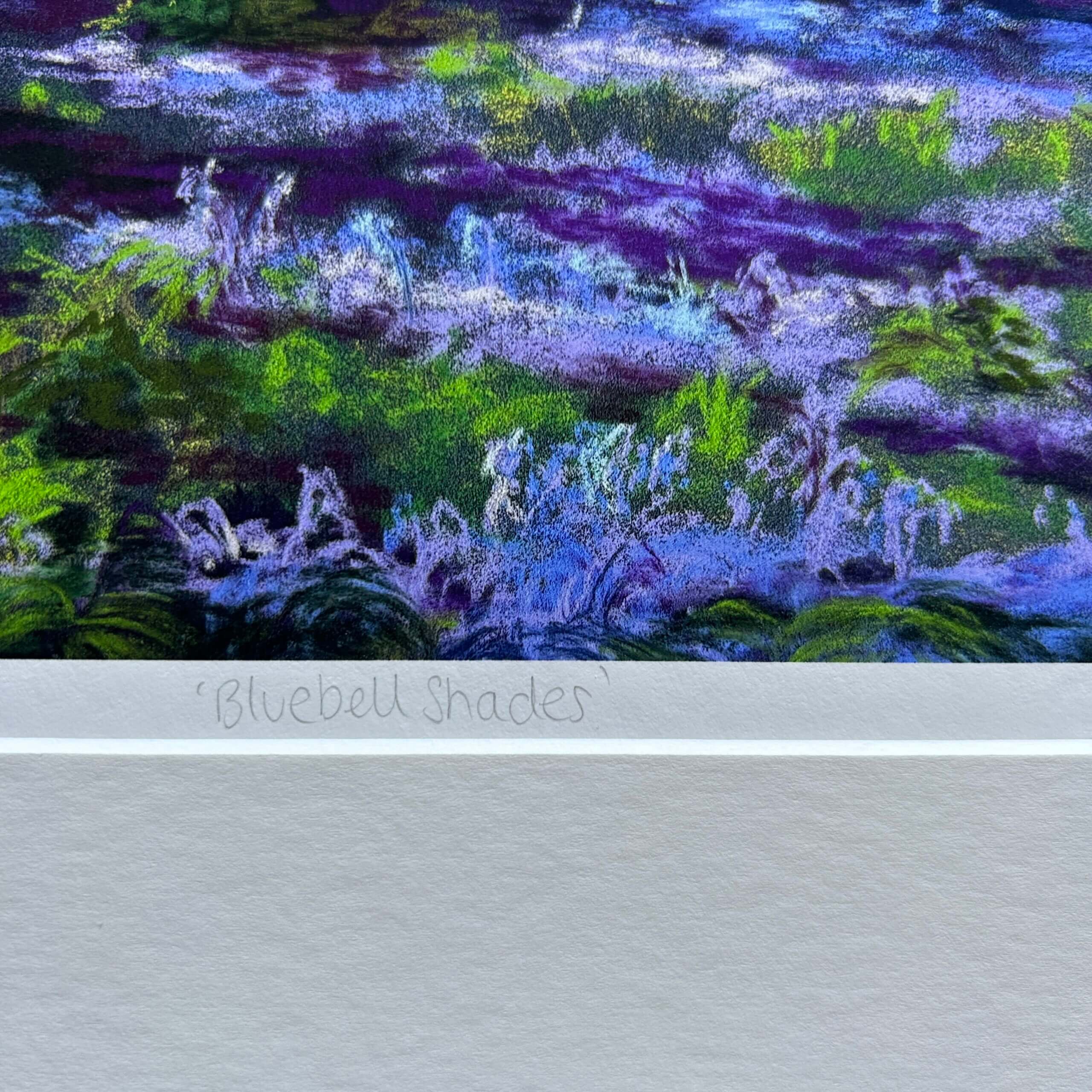 Bluebell Shades print