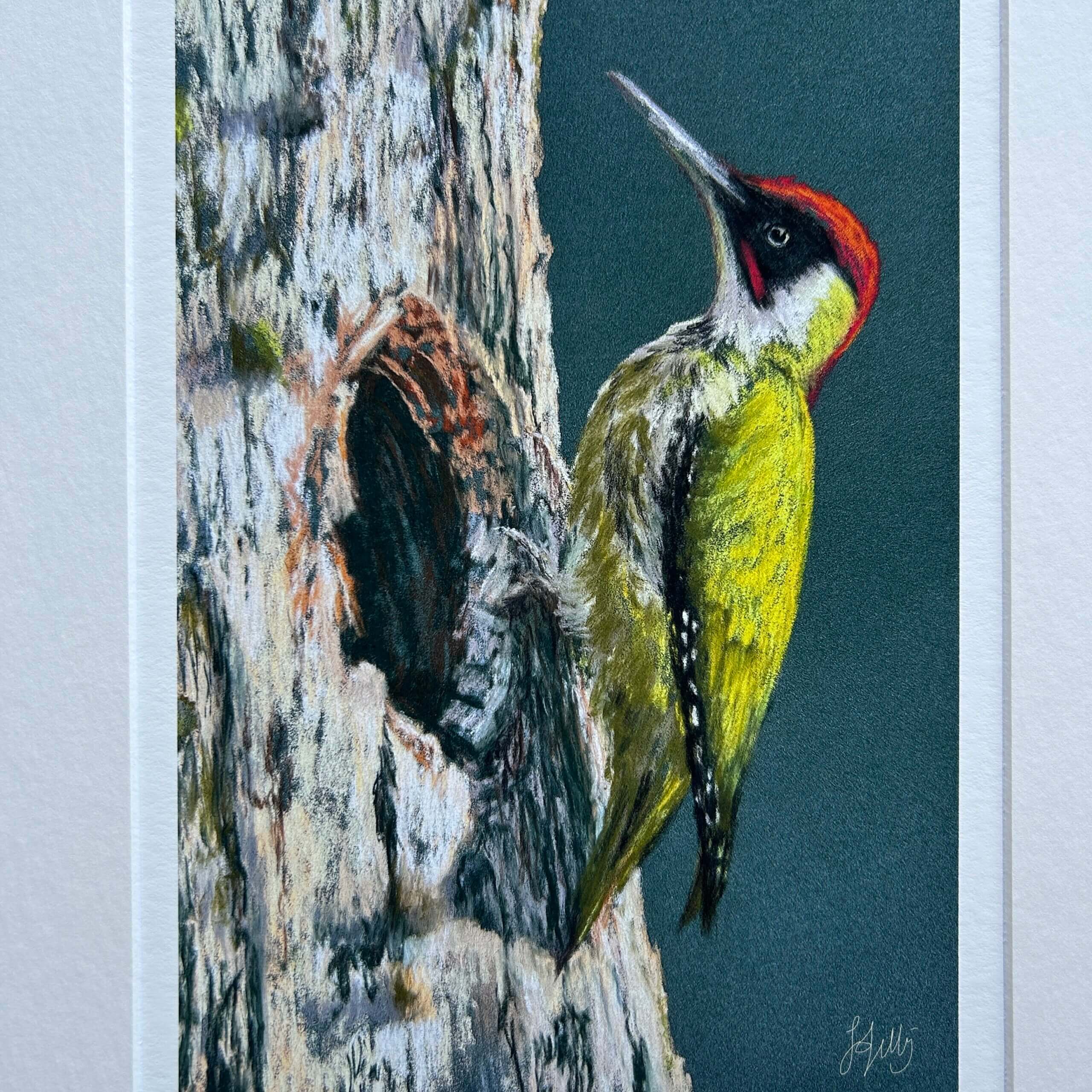 Woodpecker print