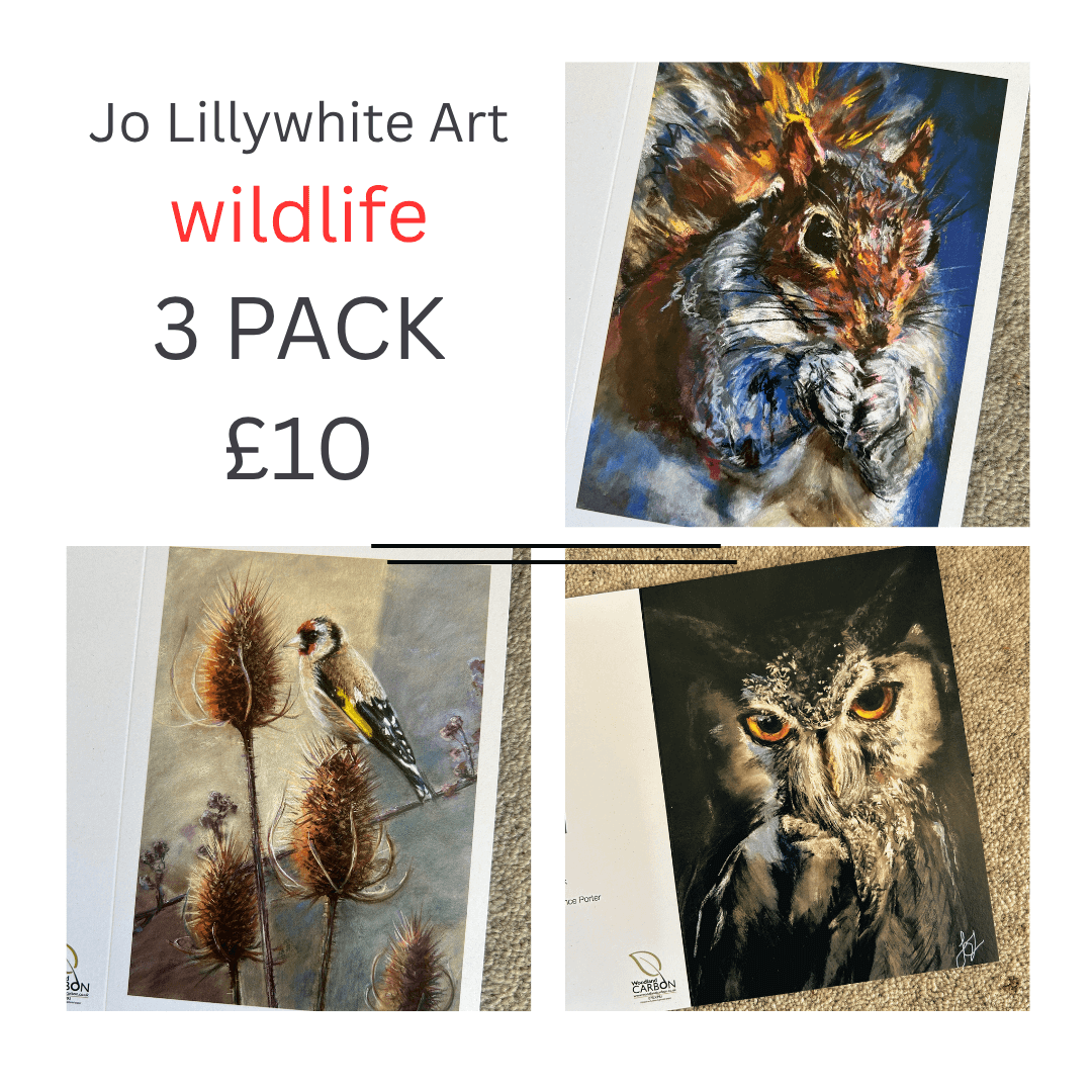 MULTIPACK wildlife cards