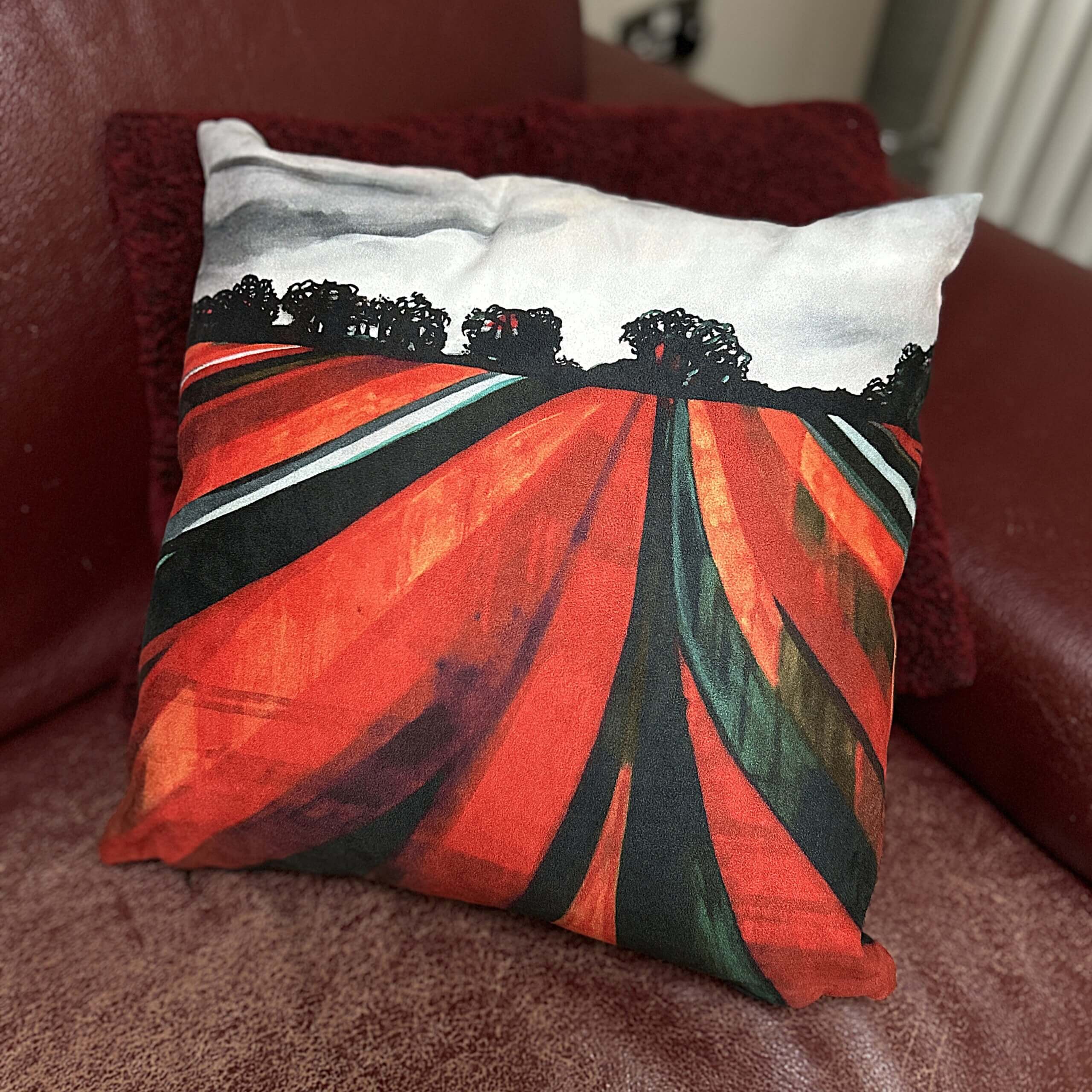 Big Top Field cushion